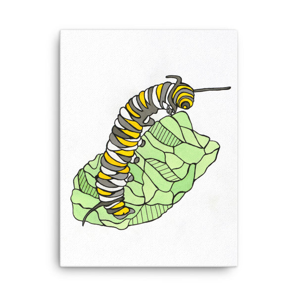 Caterpillar by Nicole Josie Canvas Print